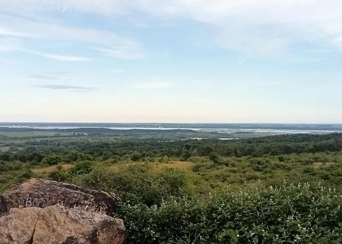 Bibic D Kapolnasnyek